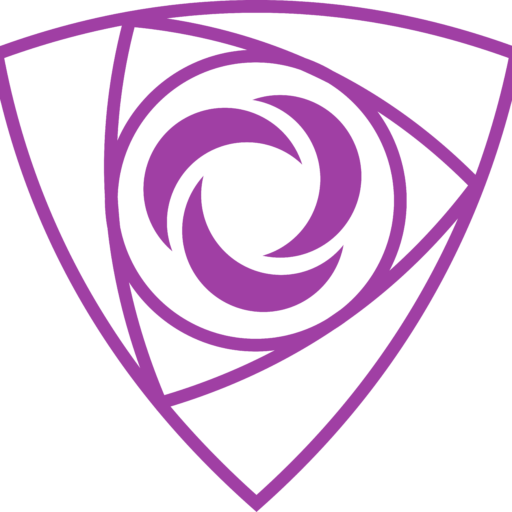 Venus IT Solutions
